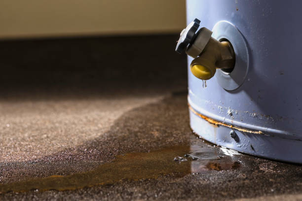 Best Water damage restoration experts  in Newington, VA