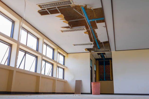Best Water damage restoration near me  in Newington, VA