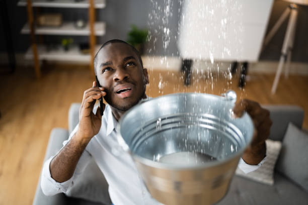  Newington, VA Water damage restoration Pros