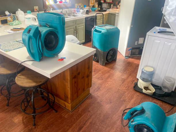 Best Local water damage restoration  in Newington, VA
