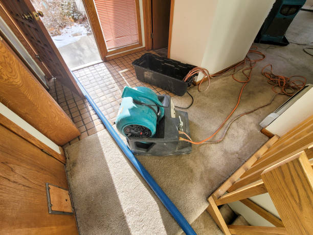 Best Water damage restoration process  in Newington, VA