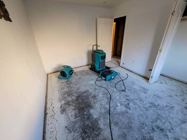 Best Water damage contractors near me  in Newington, VA