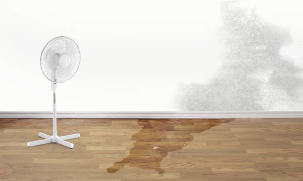 Best Residential water damage restoration  in Newington, VA