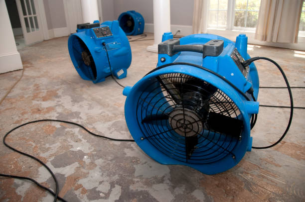 Best Carpet water damage restoration  in Newington, VA