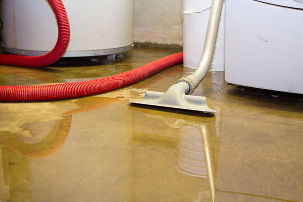 Best 24/7 water damage repair  in Newington, VA
