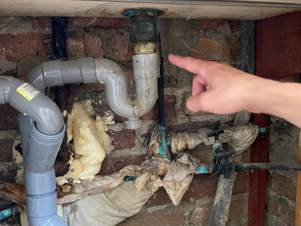Best Professional water damage repair  in Newington, VA